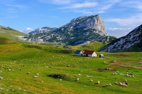 Alm Sarban and mountain Boljska Greda