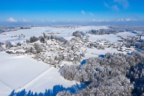 Winter landscape