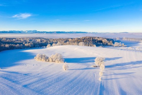 Winter landscape