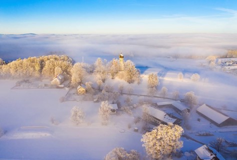 Winter landscape