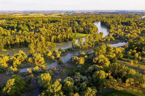 Isar shortly in front of the estuary