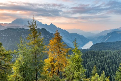Mountain panorama