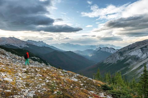 Female hiker on a hiking trail