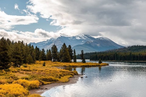 Lake shore of Maligne Lake