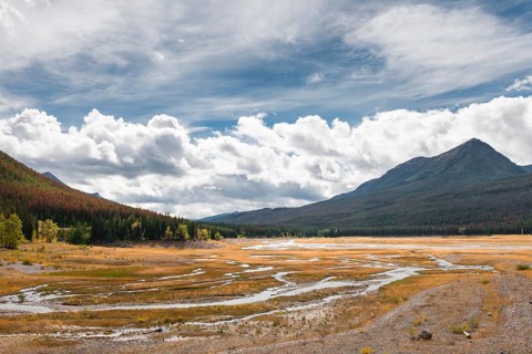 Stream meanders through a grassy landscape
