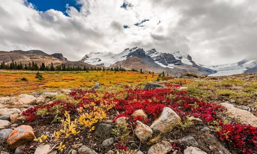 Barren Landscape