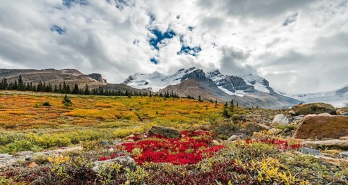 Barren Landscape