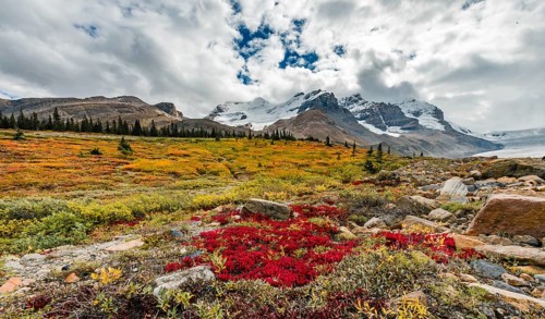 Barren Landscape