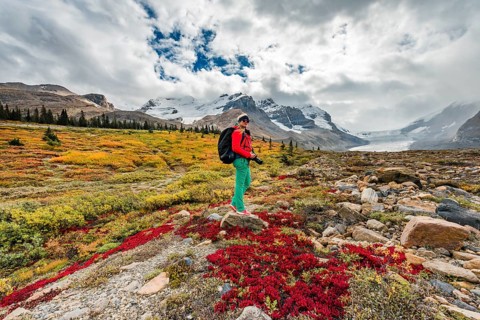 Hiker