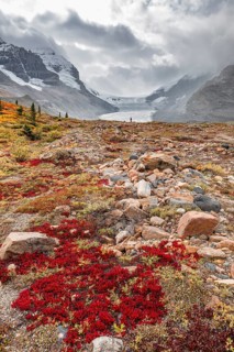 Barren Landscape