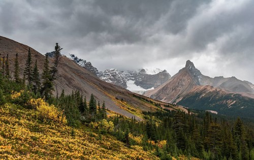 View to Mount Athabasca and Hilda Peak in autumn