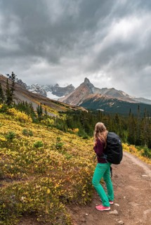 View to Mount Athabasca and Hilda Peak in autumn