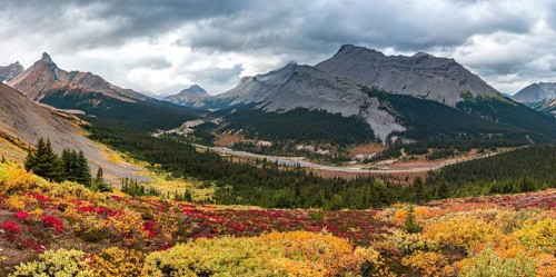 View to Mount Athabasca and Hilda Peak in autumn