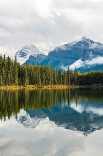 Herbert Lake