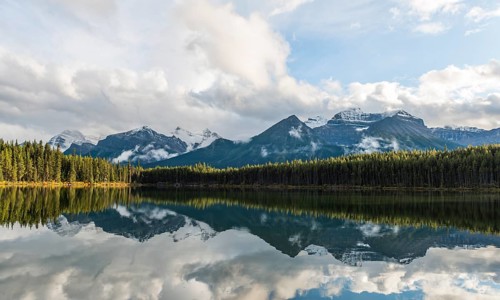 Herbert Lake