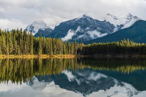 Herbert Lake