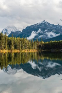 Herbert Lake