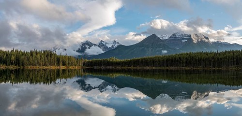 Herbert Lake