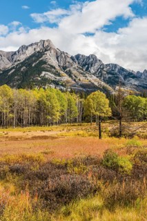 Fall Mountain Landscape