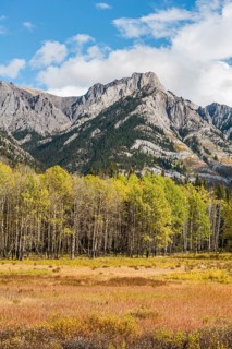 Fall Mountain Landscape