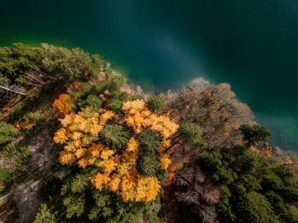 Drone shot