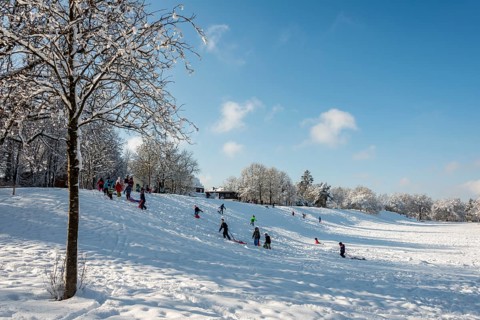 Children tobogganing at sled mountain