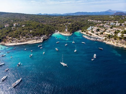 Drone shot