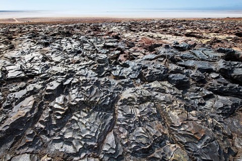 Petrified salt crust