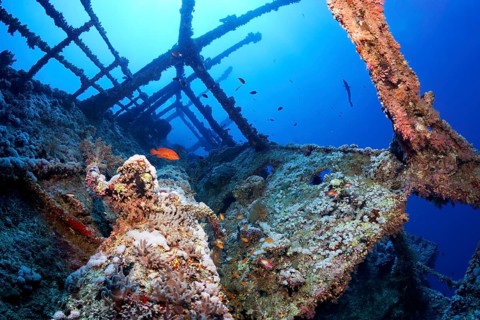 Overgrown shipwreck of the Numidia