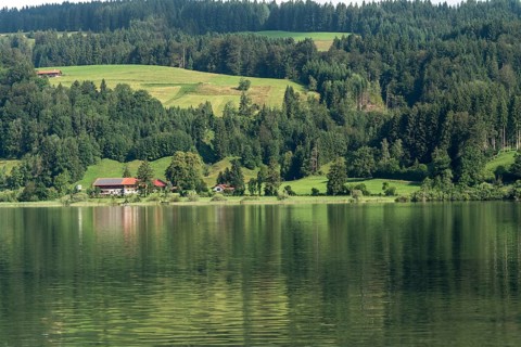 Grosser Alpsee Lake near Buhl