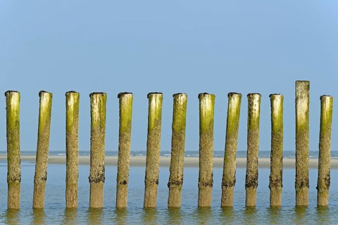 Groynes