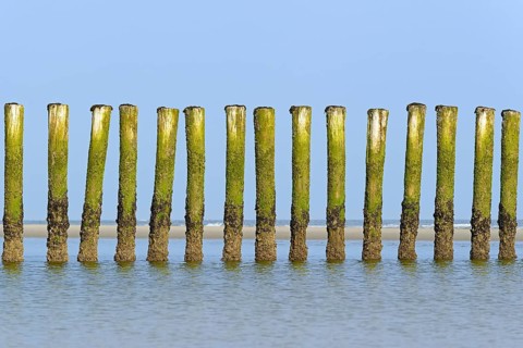 Groynes