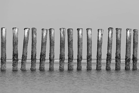 Groynes