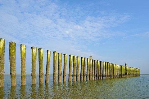 Groynes