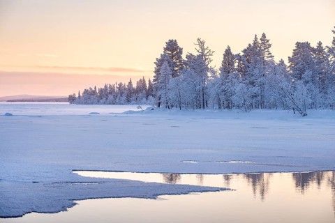 Winter evening mood at a lake