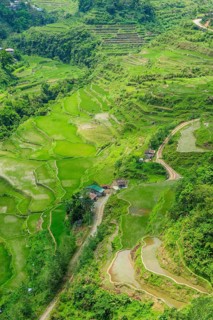 Hapao rice terraces
