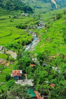 Hapao rice terraces