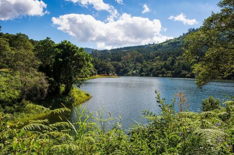 Artifical lake on the Mulunguzi Dam