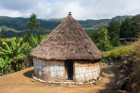 Traditional reed hut with banana plants around in the mountains of Maubisse