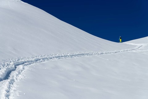Ski mountaineer in winter landscape