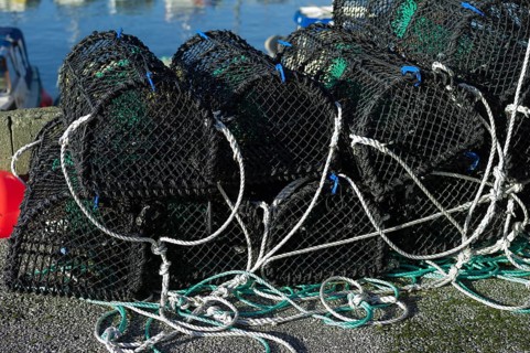 Crab fishing net