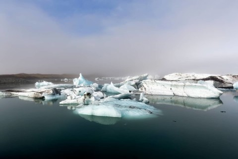 Icebergs in the morning light