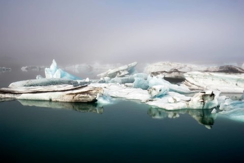 Icebergs in the morning light