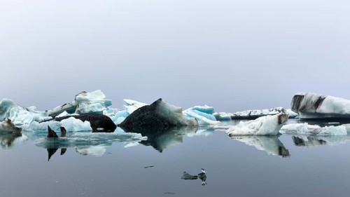 Icebergs in fog