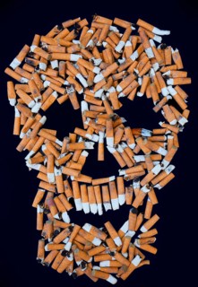 Skull from cigarette butts