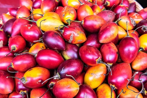 Passion fruit or passion fruit (Passiflora)