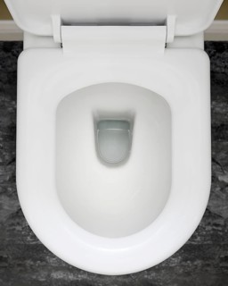 Toilet bowl