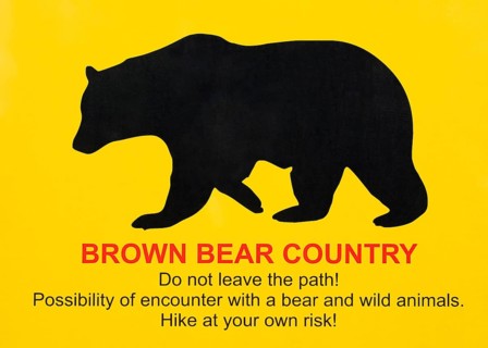 Bear warning sign