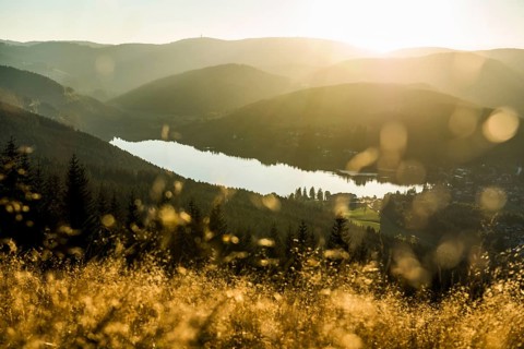 View from Hochfirst to Lake Titisee and Feldberg mountain at sunset