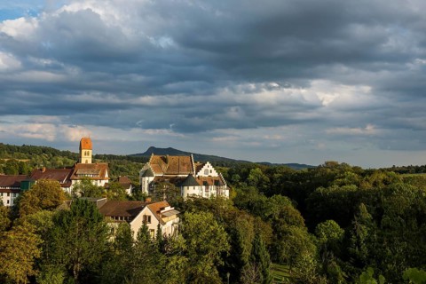 Blumenfeld Castle